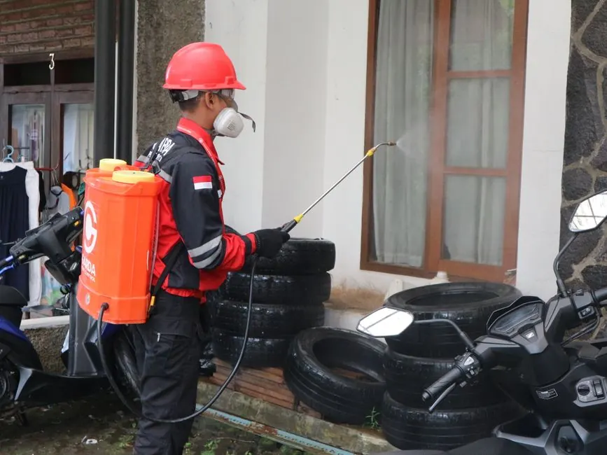 Pest Control Joplin MO | Palmer Pest Control Exterminators